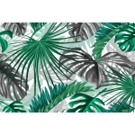  Fototapeta paproć, monstera 5556