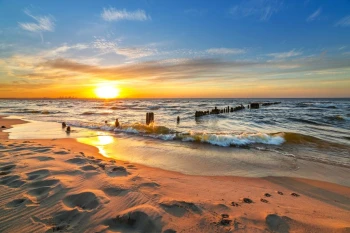  Fototapeta plaża 446a