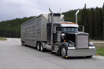  Fototapeta truck 3625
