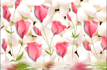  Fototapeta tulipany 3234