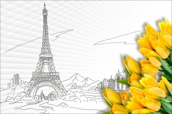  Fototapeta tulipany 4011