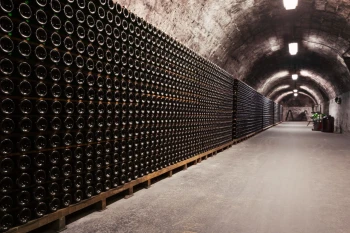  Fototapeta tunel winnicy 2957