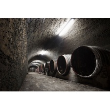 Fototapeta tunel winnicy 2958