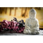 Fototapeta zen Budda 739a