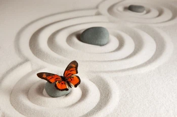  Fototapeta zen motyl i kamienie 719a