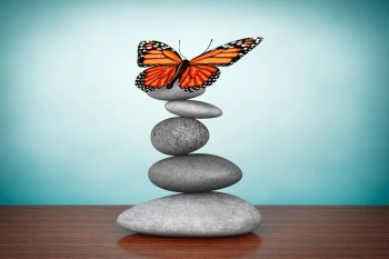 Fototapeta zen motyl i kamienie 721a