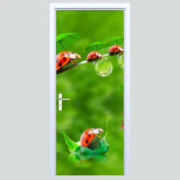  Fototapety na drzwi biedronki 607a