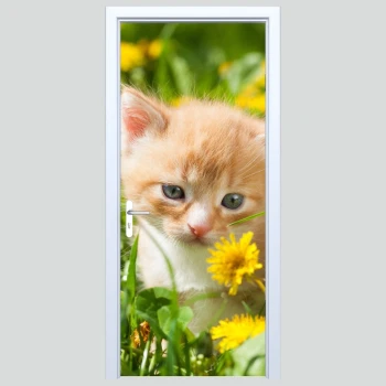  Fototapety na drzwi kot 433s