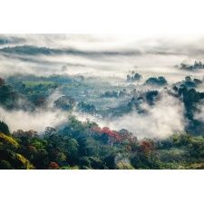 Fototapeta widok, góry, las, mgła 5125