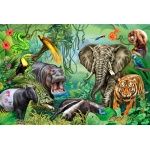Fototapeta dla dzieci  zwierzęta  w dżungli dwk053