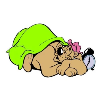  Naklejka kolorowa dla dzieci miś 1