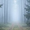 Naklejka łuk Ścieżka w Błękitnej Mgle – płaski wzór