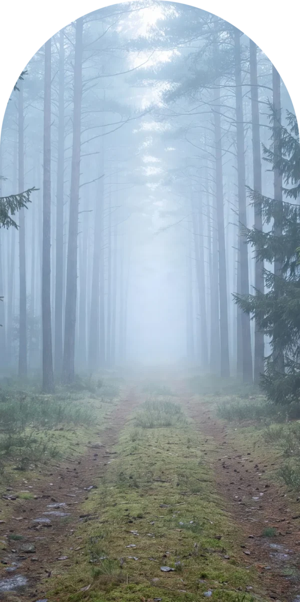 Naklejka łuk Ścieżka w Błękitnej Mgle – płaski wzór