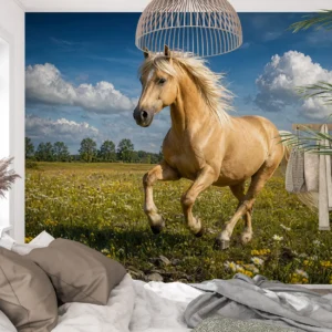 Fototapeta konie Złocisty Galop pod Chmurami: Koń maści izabelowatej z jasną grzywą w galopie przez zieloną łąkę, pod dużymi białymi chmurami.